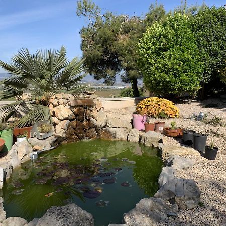 Apartamento Entero Con Vistas Panoramicas Avinyonet del Penedes Ngoại thất bức ảnh